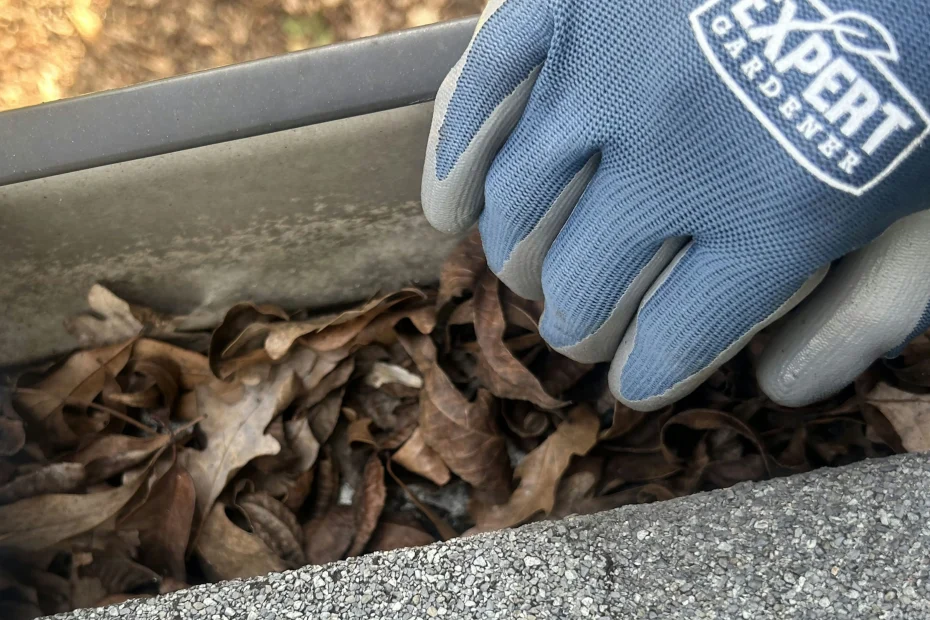 Gutter Cleaning Independence, MO